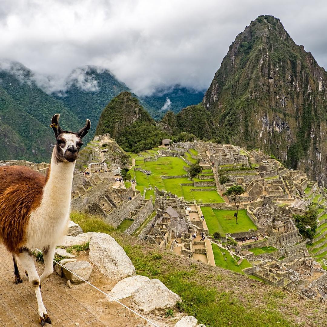 Machu Picchu: A bucket list place that can raise anyone’s eyebrows!